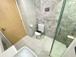 The Lakefront Residences (D22), Condominium #565049511